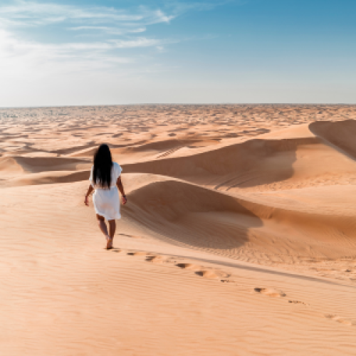 Travel Agency in Dhokali Thane: Discover Dubai with My Travel Journal